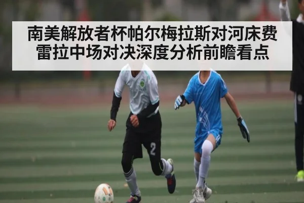 南美解放者杯帕尔梅拉斯对河床费雷拉中场对决深度分析前瞻看点 - kaiyun